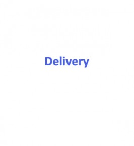 delivery-266x291